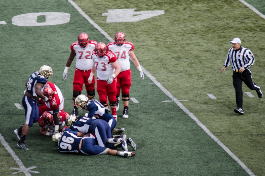 redhawks_0001_2014.jpg